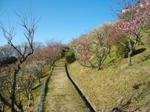 �{���R��V��(2013.03.11)