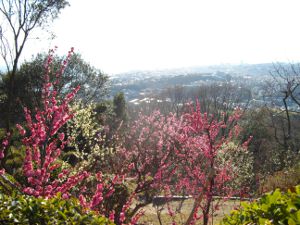 �{���R��V��(2013.03.11)