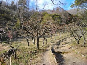 �ۋv�ǔ~��(2013.03.3)