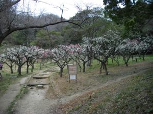 �ۋv�ǔ~��(2013.03.17)