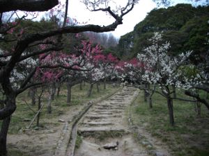 �ۋv�ǔ~��(2013.03.17)