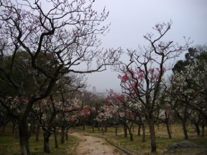 �ۋv�ǔ~��(2013.03.17)