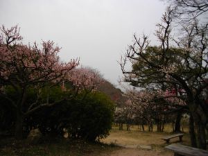 �ۋv�ǔ~��(2013.03.17)