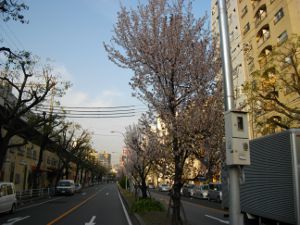 �����E�����Q�P����