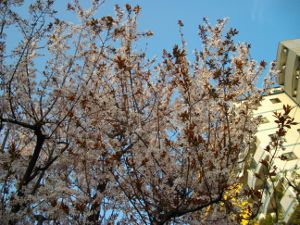 �����E�����Q�P����