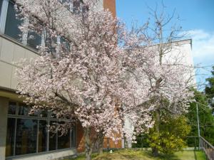 ��q�R����