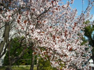 ��q�R����