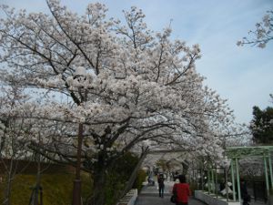 �Ȋw������