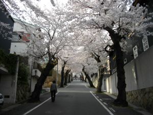 ���̃g���l��