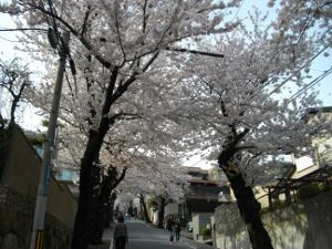 ���̃g���l��