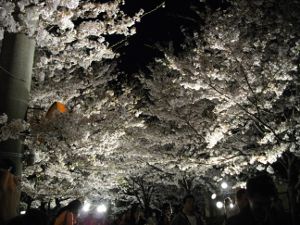 ���q������