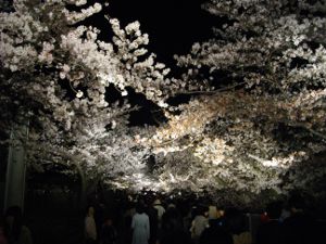 ���q������