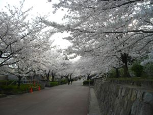 ���q������