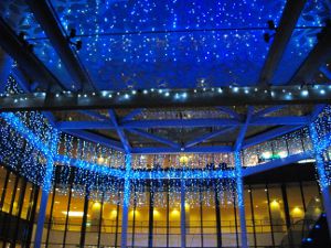 �I���G���^���z�e��