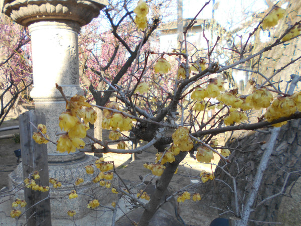 �j�~�V���{�̘X�~