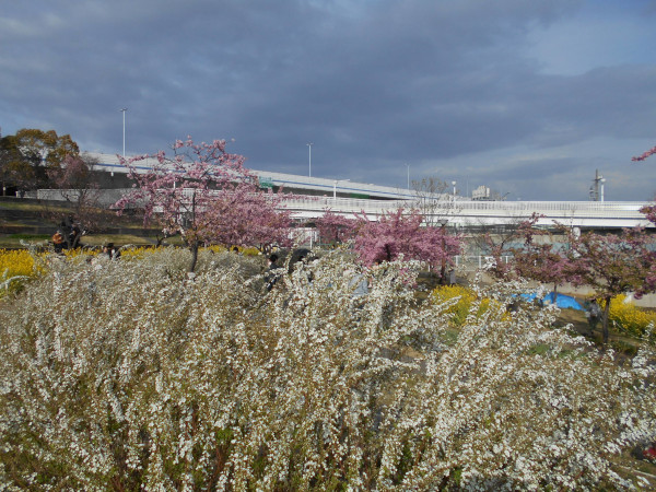 ���L���i�M