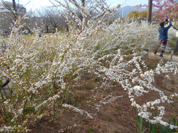 ���L���i�M