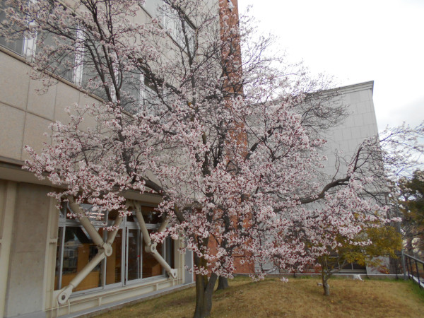 �x�j�o�X����