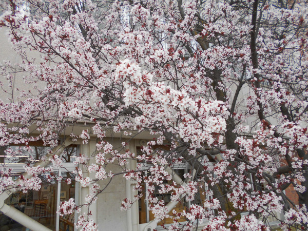 �x�j�o�X����