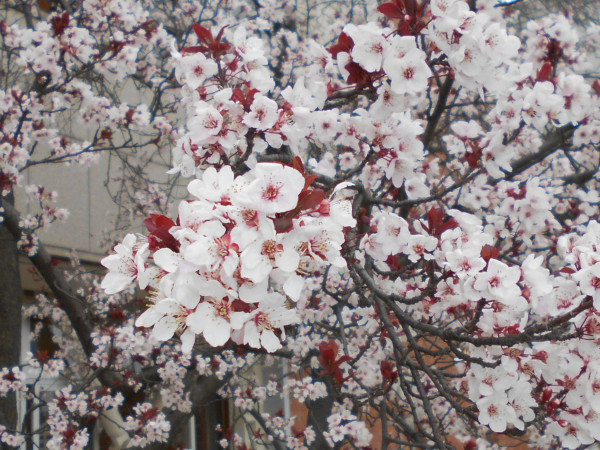 �x�j�o�X����