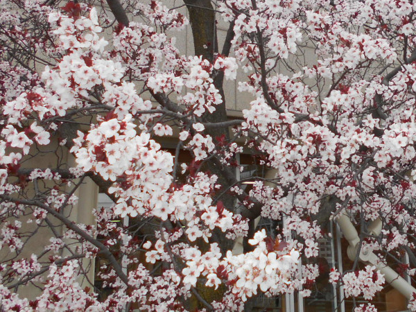 �x�j�o�X����