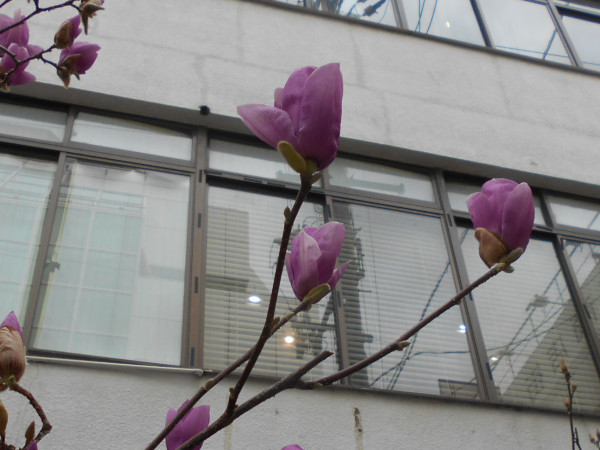 ���N����