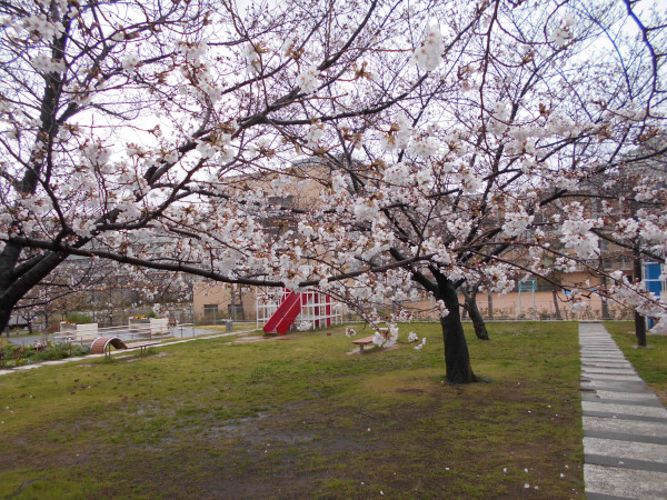 ������͌������̍�