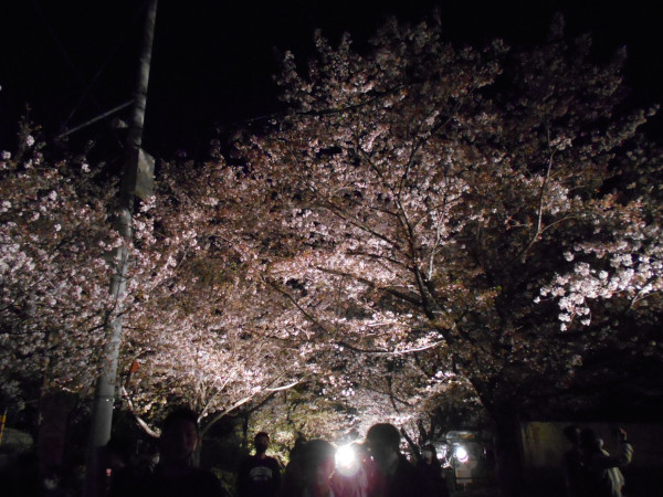 ���q�������̖��