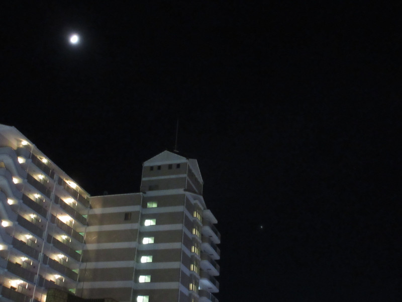 ���̖��� 2024