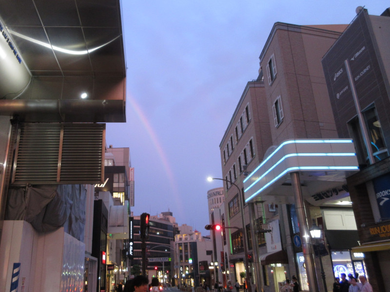 ���̔ޕ���