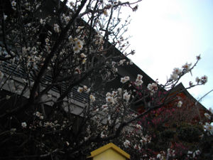 ���c�_��(2014.2����2�T)