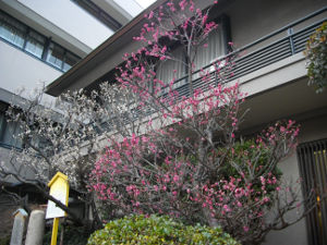 ���c�_��(2014.2����4�T)