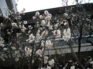 ���c�_��(2014.2����4�T)