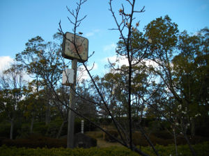 ��q�R����(2014.2����2�T)