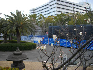 ��q�R����(2014.2����2�T)