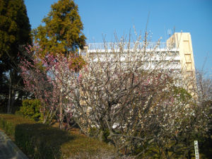 ��q�R����(2014.3����2�T)