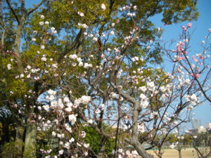 ��q�R����(2014.3����2�T)