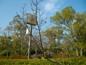 ��q�R����(2014.3����2�T)