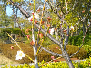 ��q�R����(2014.3����2�T)