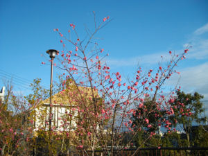 ���{�~�ь���(2014.2����2�T)