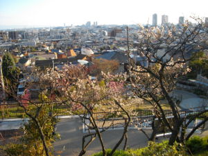 ���{�~�ь���(2014.3����1�T)