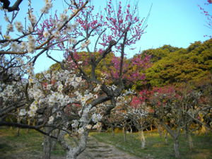 �ۋv�ǔ~��(2014.3����3�T)