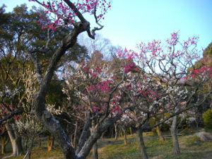 �ۋv�ǔ~��(2014.3����3�T)