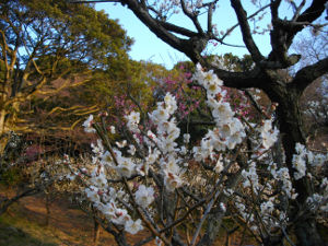 �ۋv�ǔ~��(2014.3����3�T)