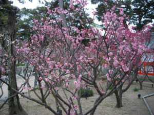 �j�~�V���{(2014.2����4�T)