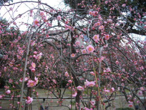 �j�~�V���{(2014.2����4�T)