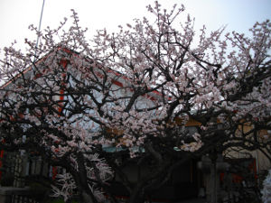 �j�~�V���{(2014.3����3�T)