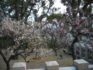 �j�~�V���{(2014.3����3�T)