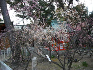 �j�~�V���{(2014.3����3�T)