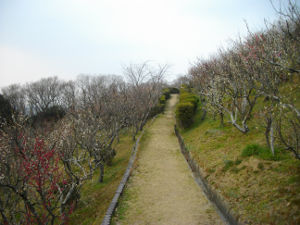 �{���R��V��(2014.3����3�T)